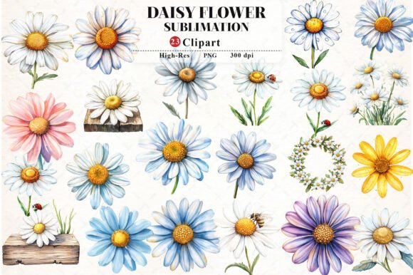Daisy Flower Watercolor Cliparts: A Designer's Botanical Toolkit
