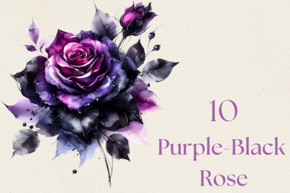 Elevate Your Projects with Purple Black Rose Watercolor PNGs