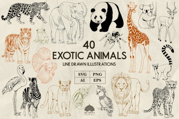 Exotic Animals Line Art: A Versatile Design Asset