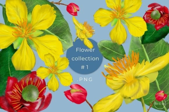 Flower Collection Clipart Graphic: Versatile Design Assets