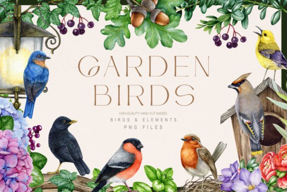 Garden Birds Watercolor Illustration Set: A Designer's Asset
