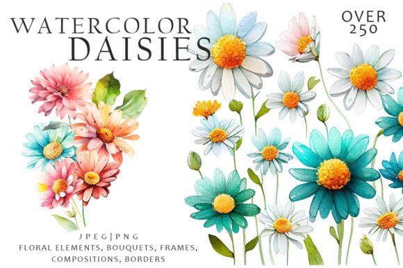 Watercolor Daisies Flowers Clipart for Designers